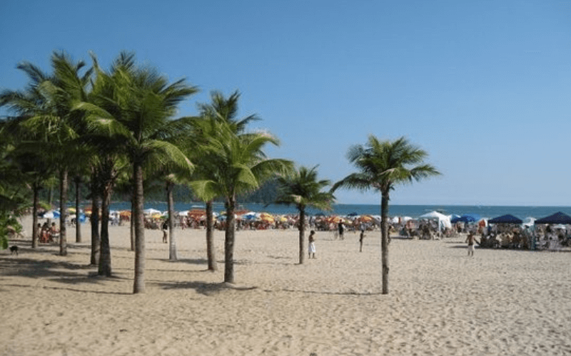gestao-de-trafego-pago-na-praia-grande-estrategias-que-funcionam-para-pequenas-empresas
